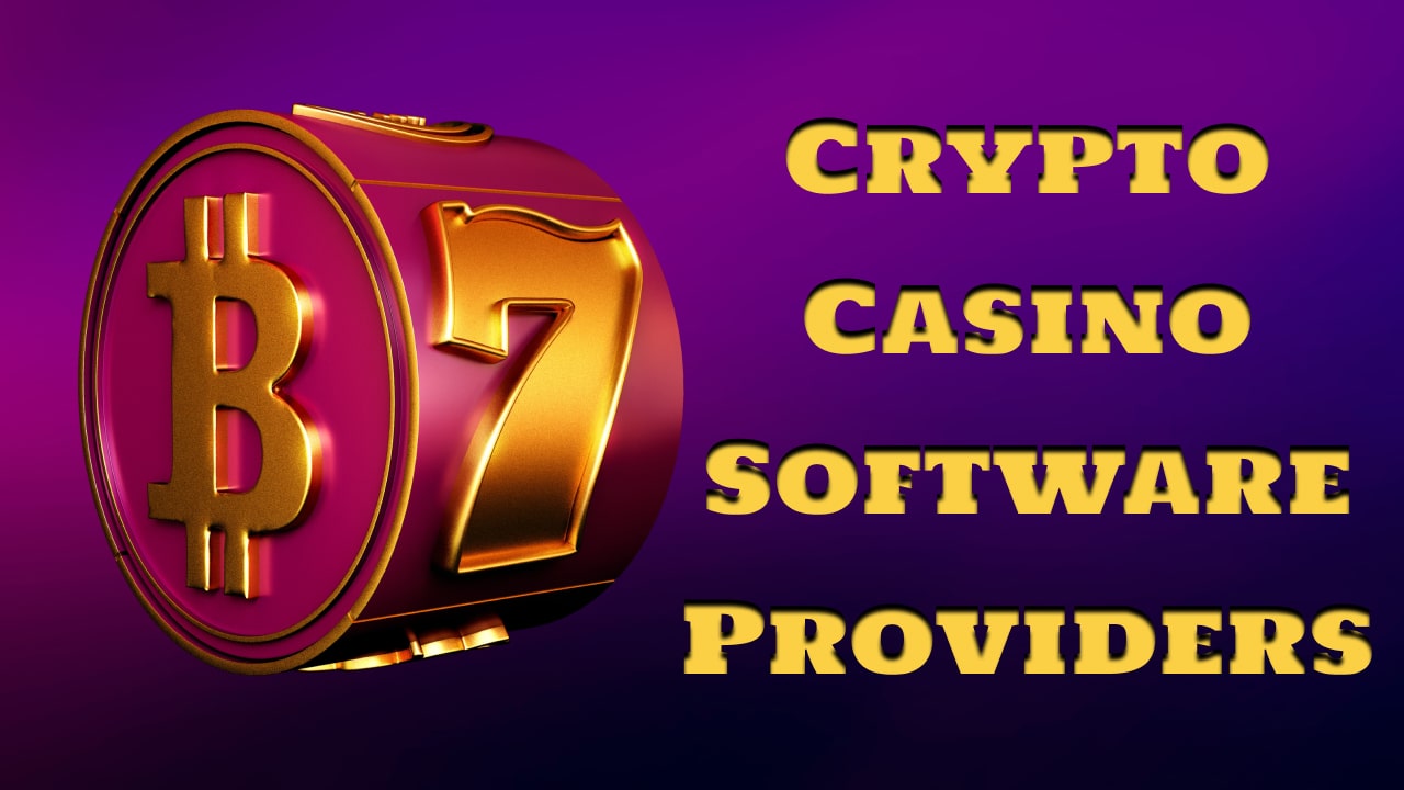 Cryptocurrency gambling software